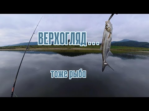 Видео: День верхогляда! Надоедливая рыба - лучше, чем ничего?