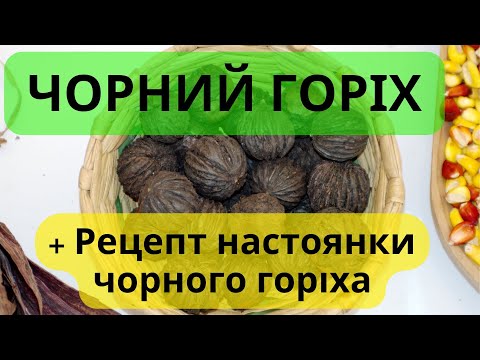 Видео: Як чорний горіх може змінити ваше життя? Корисні властивості та рецепти!