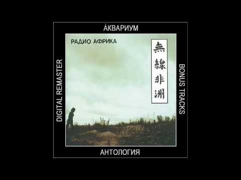 Видео: Аквариум Капитан Африка 