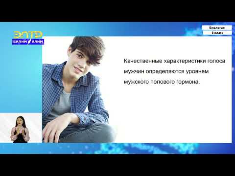 Видео: 8-класс | Биология |  Дыхание