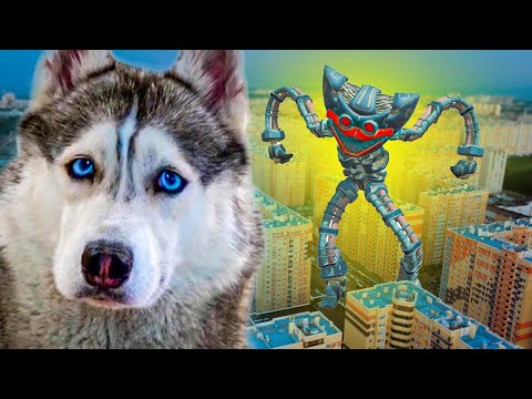 Видео: ФИНАЛЬНАЯ БИТВА С ТИТАНОМ ХАГГИ ВАГГИ!! Полный фильм