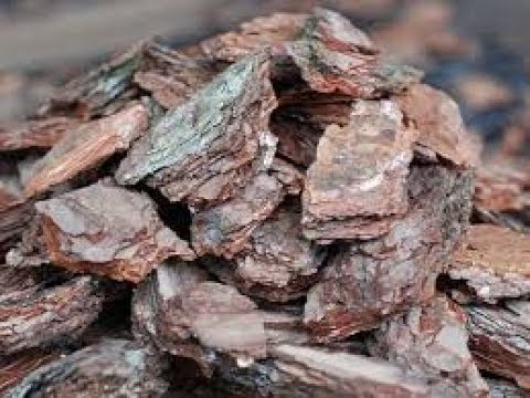 Видео: Измельчитель для коры. (шредер)