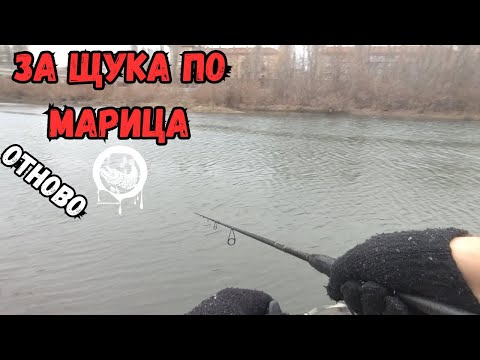 Видео: Отново за щука по река Марица в Пловдив