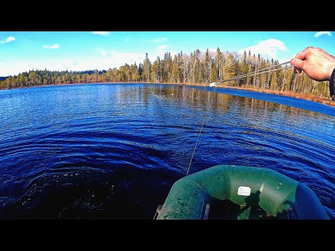 Видео: Уехал на лесное озеро. Ставлю сети. Тяжёлая дорога разбираю завалы.