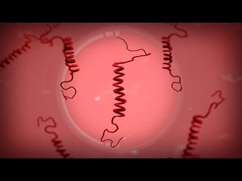Видео: Прохожу Приона в Plague inc Evolved