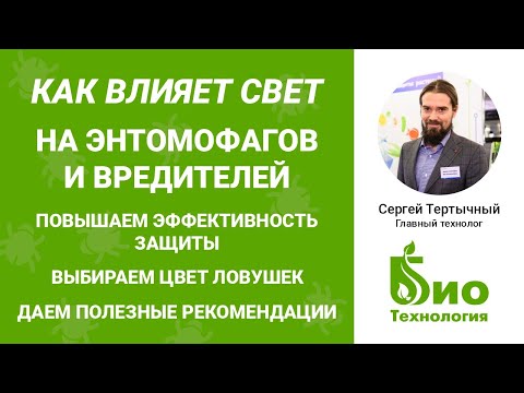 Видео: Свет в теплице. Как он влияет на энтомофагов и вредителей