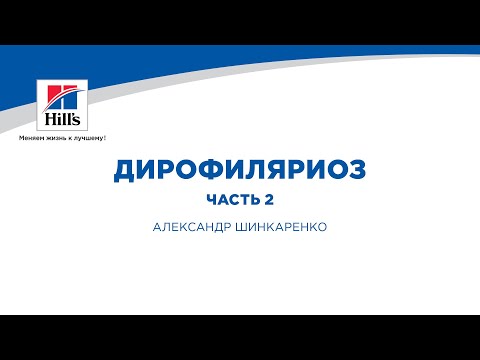 Видео: Вебинар на тему: “Дирофиляриоз”. Часть 2. Лектор - Александр Шинкаренко.