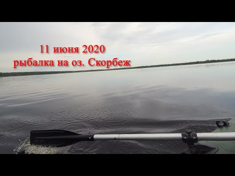 Видео: Рыбалка на оз. Скорбеж Кашинского Района 11.06.2020 (полная версия)