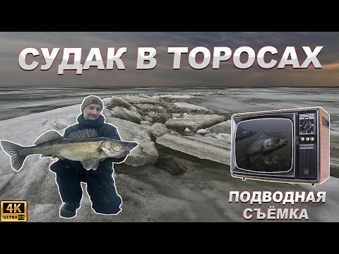 Видео: ВЕСЬ СУДАК В ТОРОСАХ