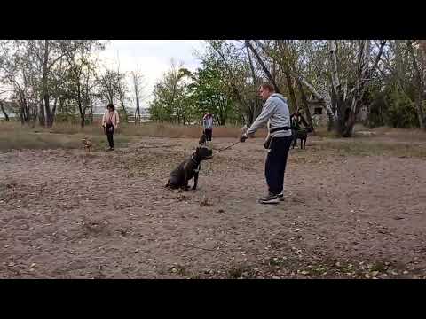 Видео: 8 октября 2025 г.