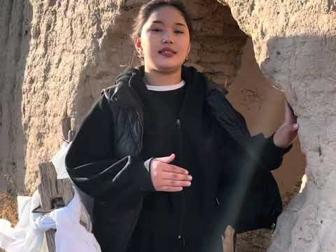 Видео: Ботабай кесенесі Жамбыл облысы Мойынқұм ауданы Құмөзек ауылында орналасқан