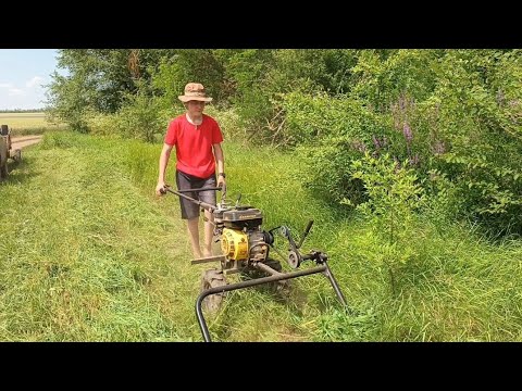 Видео: Сенокос - 2025! Косим, косим и еще раз КОСИМ.МОТОБЛОК - Champion 😁