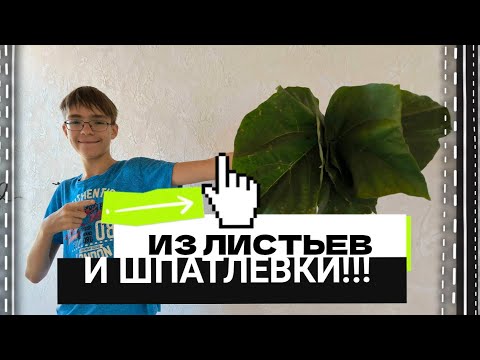 Видео: Ремонт ЗА КОПЕЙКИ!!! Декоративная штукатурка ИЗ ЛОПУХОВ и обычной шпатлевки) #декорстен