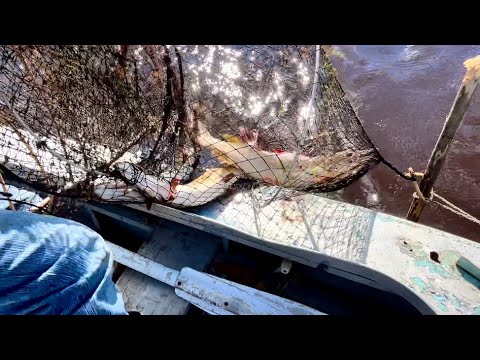Видео: Щуки прут! Рыбалка на фитили на севере