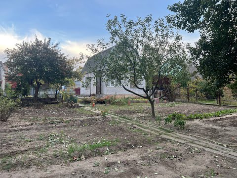 Видео: Дача для души | Серия 9 | Продолжаем искать место для рыбалки, неужели УДАЧА ?