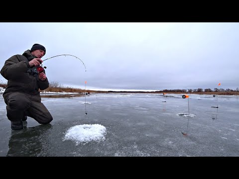 Видео: ЗДЕСЬ ЩУК БОЛЬШЕ ЧЕМ Я ДУМАЛ! РЕКА ПОЛНА РЫБЫ! Рыбалка на жерлицы и балансир.