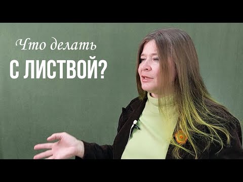 Видео: Что делать с листвой? Городской компост