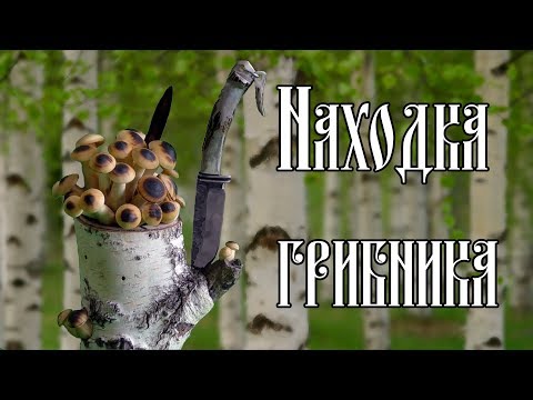 Видео: ШКАТУЛКА "НАХОДКА ГРИБНИКА"