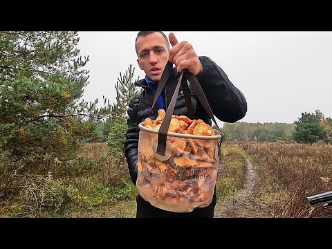 Видео: НЕЙМОВІРНИЙ ЗАЛІТ ДО ЛІСУ! 🍄‍🟫 Відро Рижиків та БІЛІ ГРИБИ — Магія Осіннього Лісу 🌲🍄‍🟫