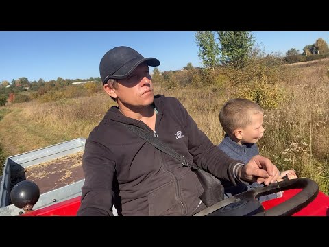 Видео: ВОЗИМ ПЕСОК!!! СОБРАЛ КРОВАТЬ СЫНУ!!ЖИЗНЬ В ДЕРЕВНЕ