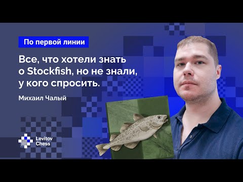 Видео: ВСЁ, что вы хотели знать о STOCKFISH, но не знали, у кого спросить // Разработчик Михаил Чалый