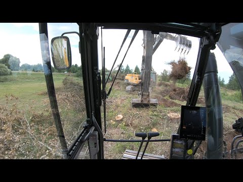 Видео: Последние пни