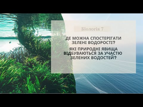 Видео: Середовища існування та природні явища за участю зелених водоростей