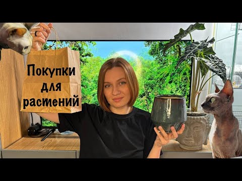 Видео: Покупки для растений | кошачий обзор