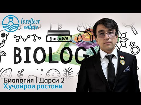 Видео: Биология | Ҳуҷайраи растанӣ | Дарси 2