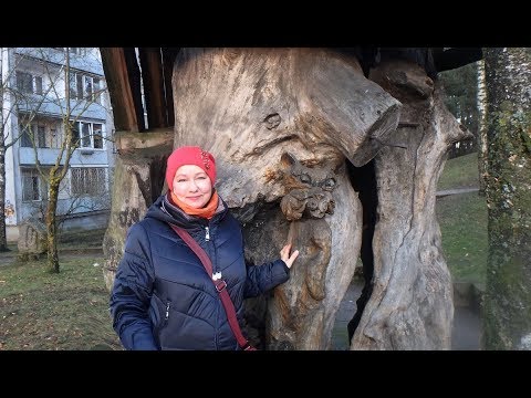 Видео: влог - про цветы, удобную обувь и вкусняшки)))
