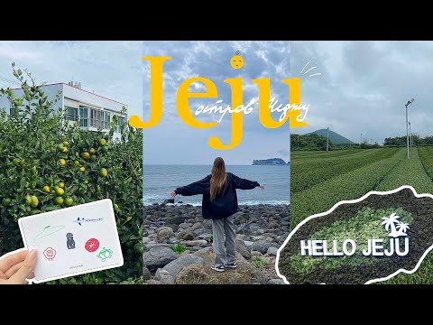 Видео: 🍊vlog Чеджу: трип по мандариновому острову