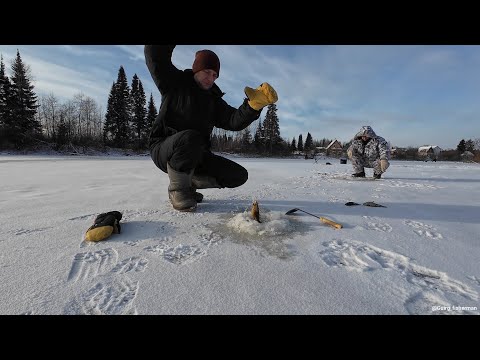Видео: Открытие зимнего сезона 24'-25'. Лёд трещит под ногами, дичайшие поклёвки "ротана", голодная щука.