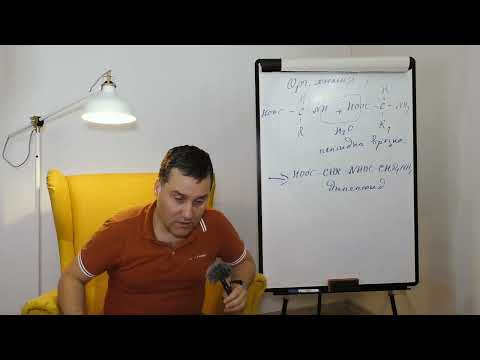 Видео: 9-ти клас. Урок №3. Част 7. Органична химия накратко. Въглехидрати. Липиди.