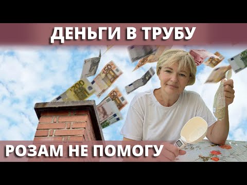 Видео: ПРОФ ПРЕПАРАТЫ ДЛЯ РОЗ. Как бесполезно улетают наши деньги. 28 августа 2024 г.