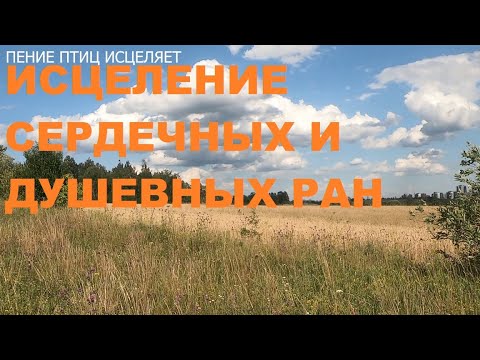 Видео: БОЖЕСТВЕННОЕ ПЕНИЕ ПТИЦ ИСЦЕЛИТ ВАШИ СЕРДЕЧНЫЕ И ДУШЕВНЫЕ РАНЫ.ВОССТАНОВЛЕНИЕ НЕРВНОЙ СИСТЕМЫ.