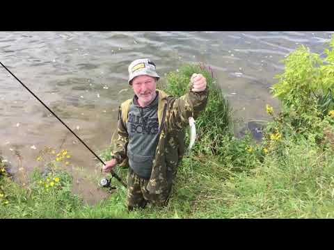 Видео: Отводной поводок в Строгино