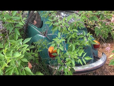 Видео: Volkswagen простоял более 30 лет. Заработает ли он? Забытый VW Super Bug.