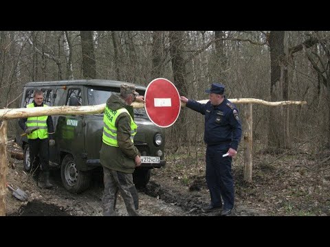 Видео: В общедоступных угодьях отказывают в получении разрешения на добычу пушнины.