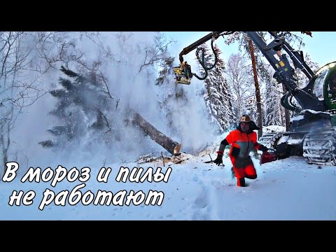 Видео: НА РАБОТЕ. МОРОЗ. ФИНСКИЙ ЮРА DUDЬ