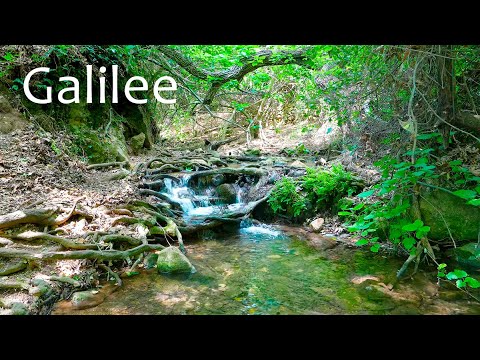 Видео: Самый красивый ручей в Галилее. Расслабляющий Израиль (Нахаль Амуд)