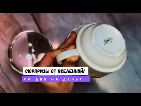 Видео: СЮРПРИЗЫ ОТ ВСЕЛЕННОЙ!  СО ДНЯ НА ДЕНЬ! 