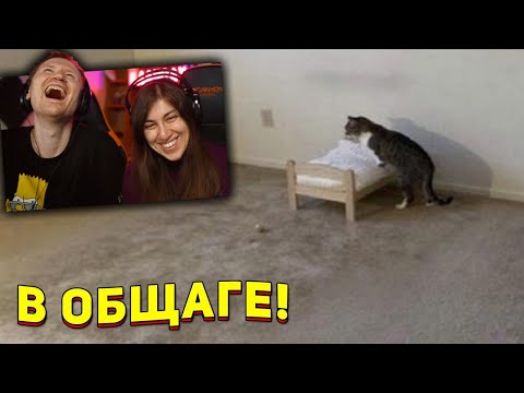 Видео: ЗАСМЕЯЛСЯ - ПРОИГРАЛ | ЛЮТЫЕ ПРИКОЛЫ | ЛУЧШИЕ ПРИКОЛЫ |  СЕКУНДЫ СМЕХА | Реакция