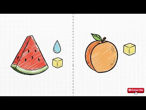 Видео: ЭТОТ ФРУКТ ЛУЧШЕ ВСЕХ?!  Рейтинг фруктов от вредных до полезных — ШОК! Что на самом деле нужно есть?