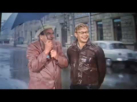 Видео: смешное