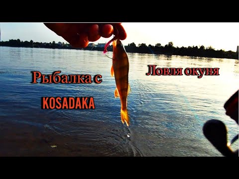 Видео: РЫБАЛКА С ТРЕВЕЛОМ Kosadaka Brave | ЛОВЛЯ ОКУНЯ НА НЕВЕ