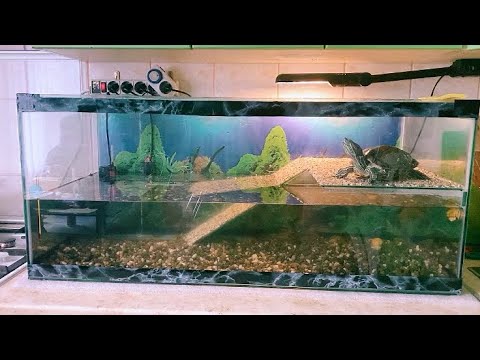 Видео: Новый аквариум с островком для черепахи! NEW aquarium: нанос, фильтр, нагреватель, компрессор