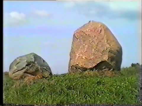 Видео: Природа