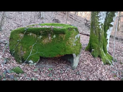 Видео: Видео 18 (часть 1) - Перевёрнутый корытообразный дольмен (Анастасиевка)