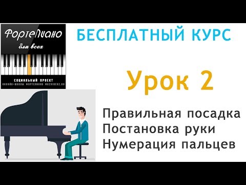 Видео: 🎹 Фортепиано ДЛЯ ВСЕХ. Урок 2 - Посадка за инструмент. Постановка руки. Нумерация пальцев рук