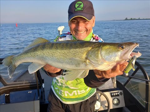 Видео: Голландия. Ловля зачетных Судаков. Рыбалка с лодки.
